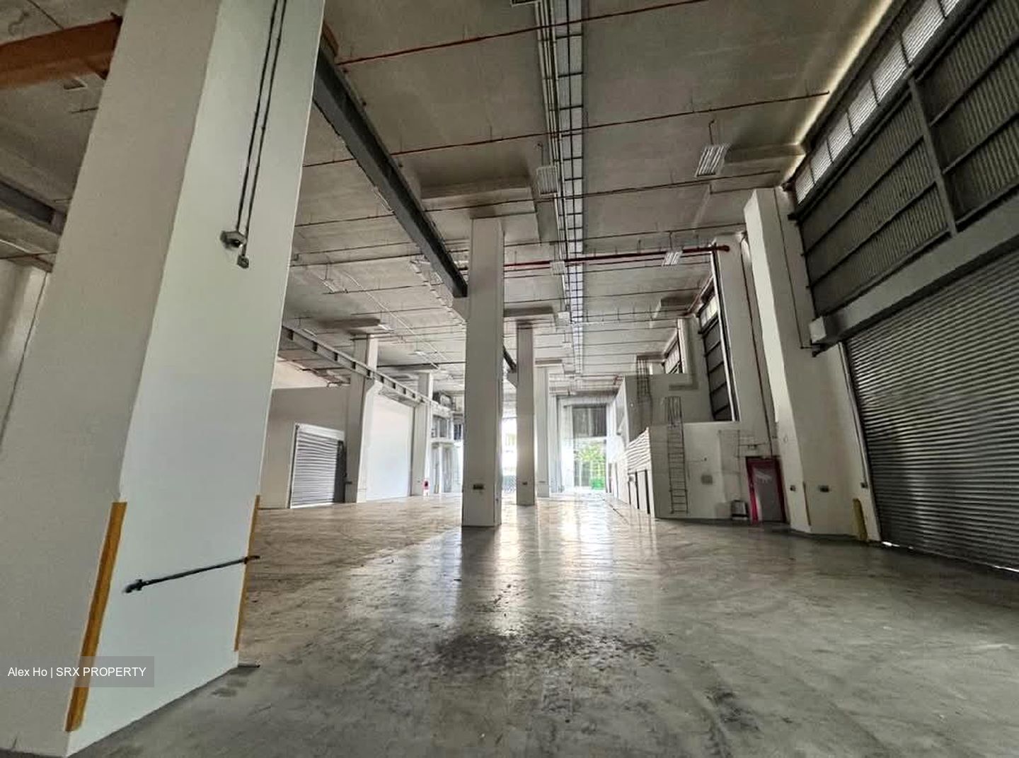 Loyang Industrial Estate (D17), Warehouse #600983811